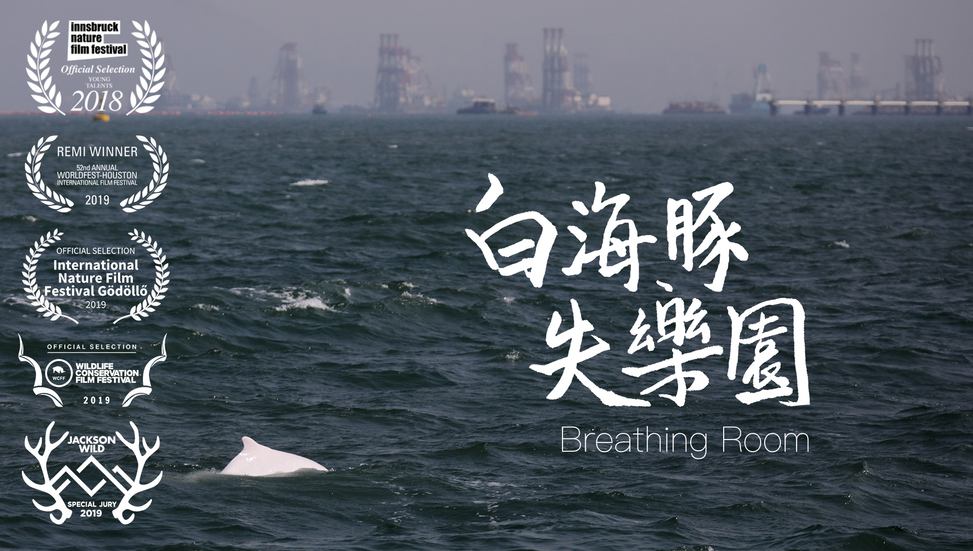 《白海豚失樂園》講述本港的中華白海豚如何受到人類活動影響，由黃遂心女士導演。