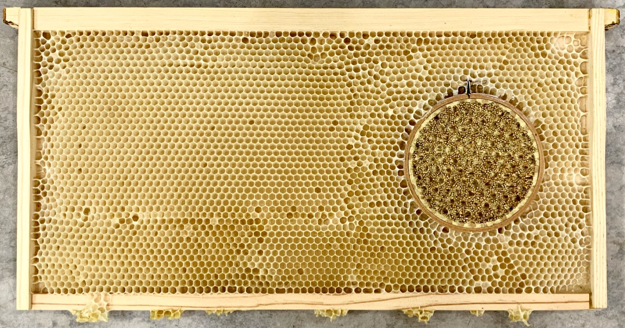 「Gold Honeycomb」是Ava很喜愛的作品。©Ava Roth