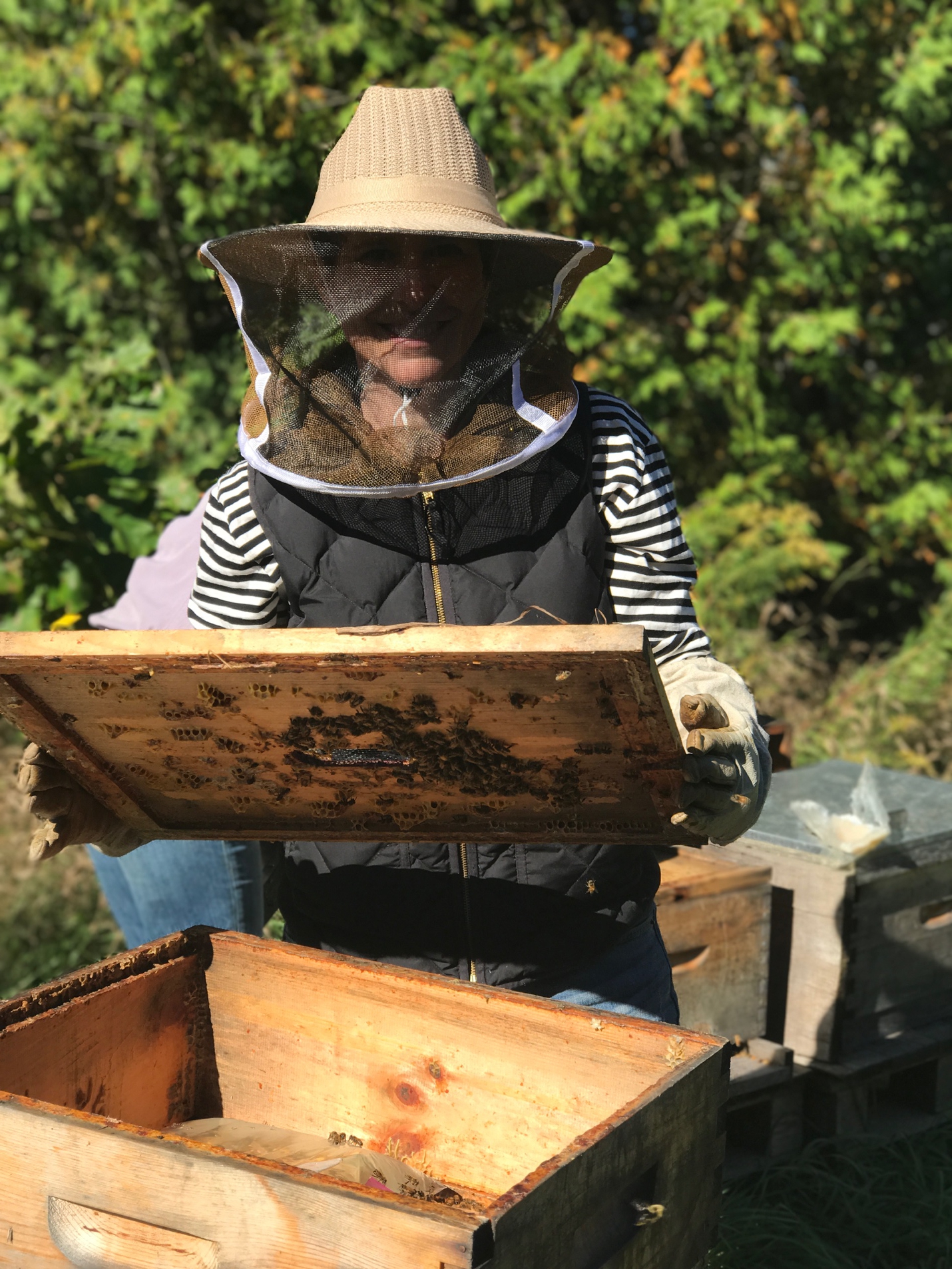 藝術家Ava Roth在家中後院飼養了2萬5千隻蜜蜂。©Ava Roth