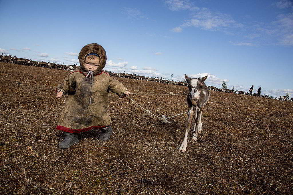 © Petr Shelomvskiy / Greenpeace