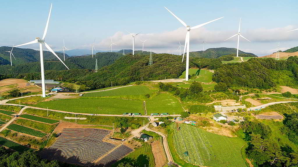 位於慶尚北道英陽郡的韓國第三大風電廠,預計一年可製造 134 吉瓦時 (GWh) 的電力。 © Greenpeace