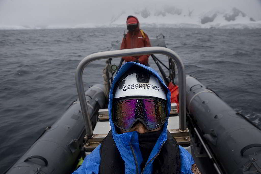 只露出鼻子的小豚，在南極駕駛小艇破風前行。 © Abbie Trayler-Smith / Greenpeace