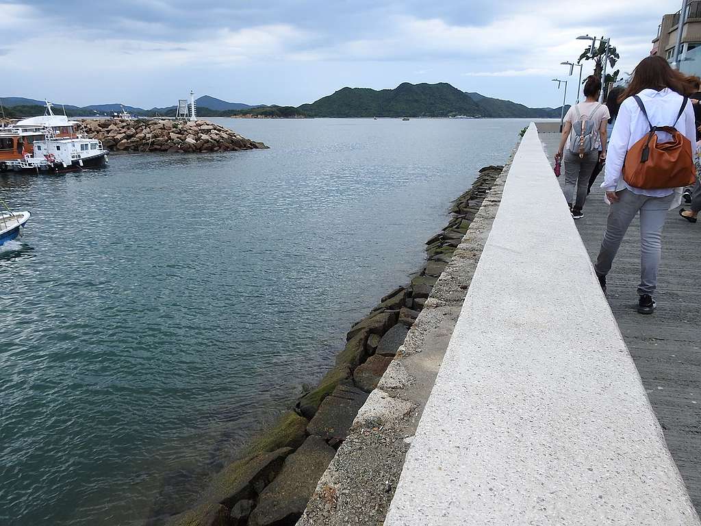 這是對面海村的海旁路段,可見舊日防波堤及新建更高的堤岸圍欄,但能否抵禦另一個或更多的山竹?© Greenpeace