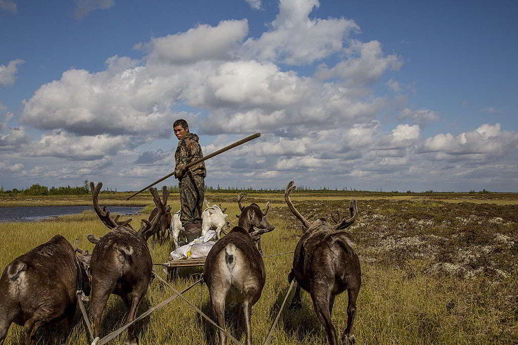 © Petr Shelomvskiy / Greenpeace