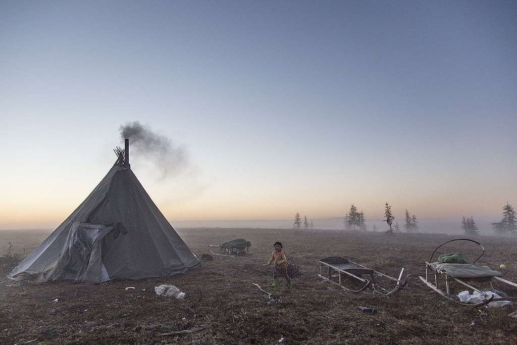 © Petr Shelomvskiy / Greenpeace
