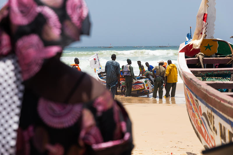 在塞內加爾，男性很多時負責出海捕魚，女性則成為「最佳後衛」，在市場販賣漁獲，或在魚肉、魚粉處理工廠當女工。© Elodie Martial / Greenpeace