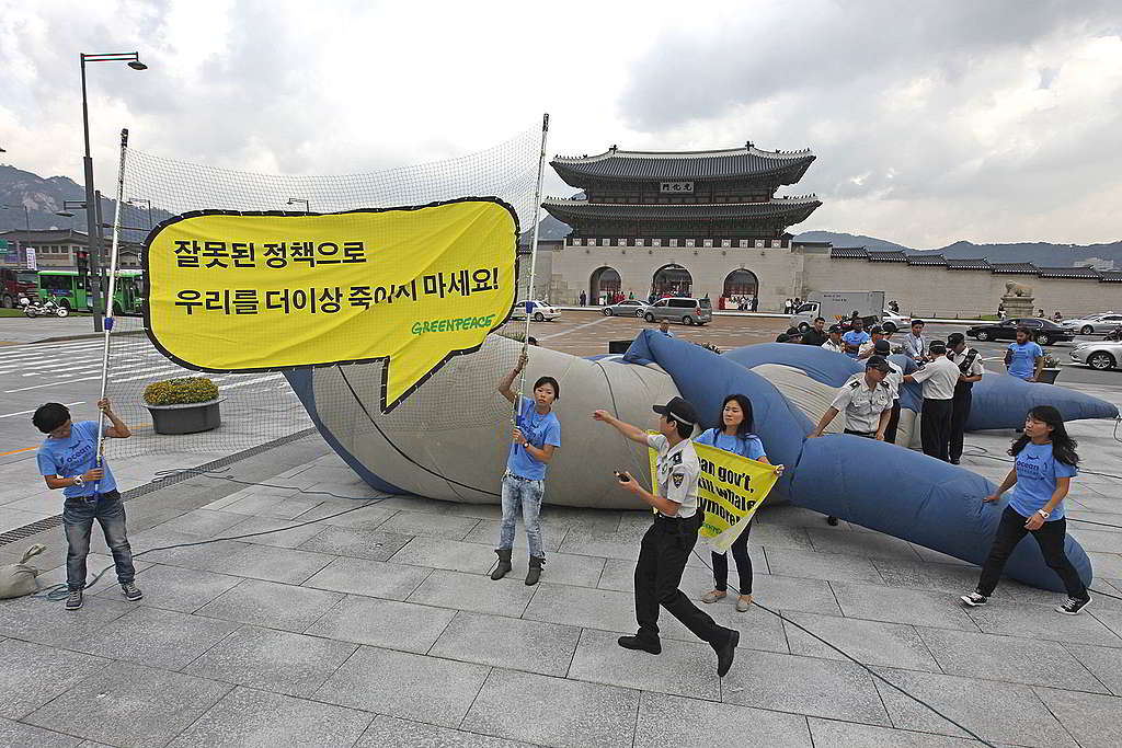 2012年，綠色和平行動者於韓國著名地標景福宮附近，促請韓國政府撤回重啟「科學捕鯨」方案，其間一度遭保安阻撈。 © Alex Hofford / Greenpeace