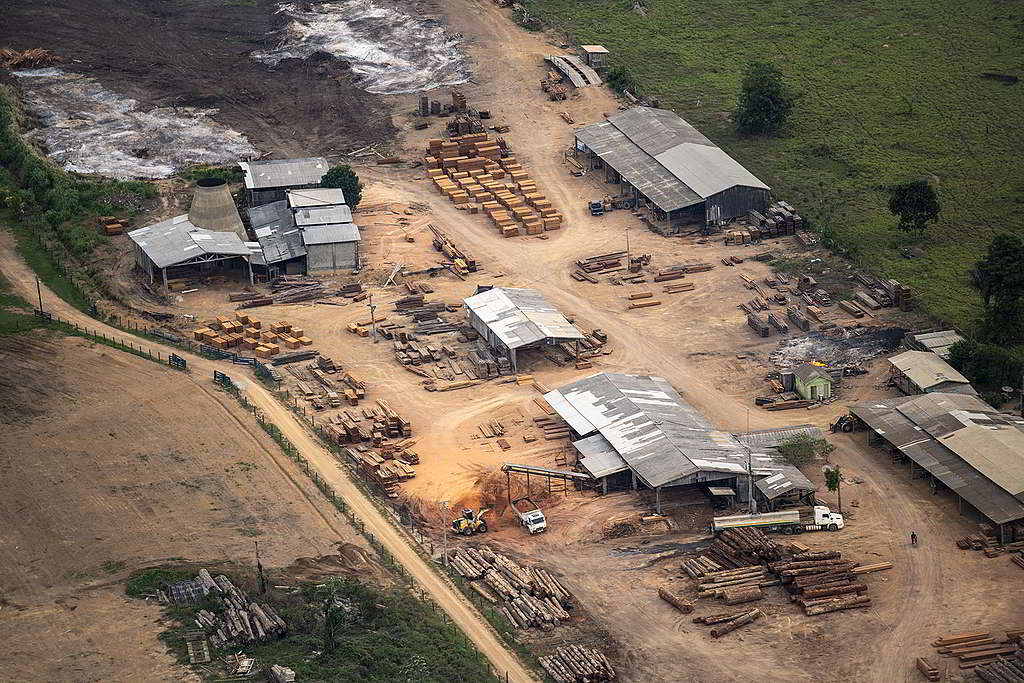 巴西亞馬遜的伐木「大本營」，可見鐵皮屋外木材散落一地。© Daniel Beltrá / Greenpeace
