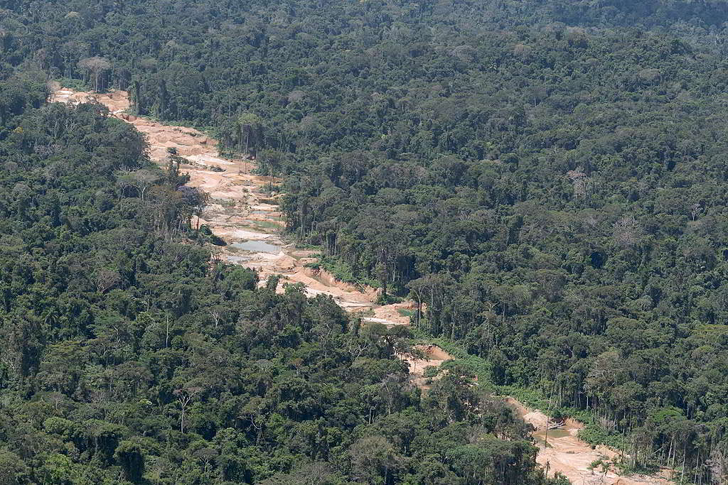 採礦業大幅清空亞馬遜林地，單是2020年1月至4月，總計已有880公頃森林遭砍伐。© Marcos Amend / Greenpeace