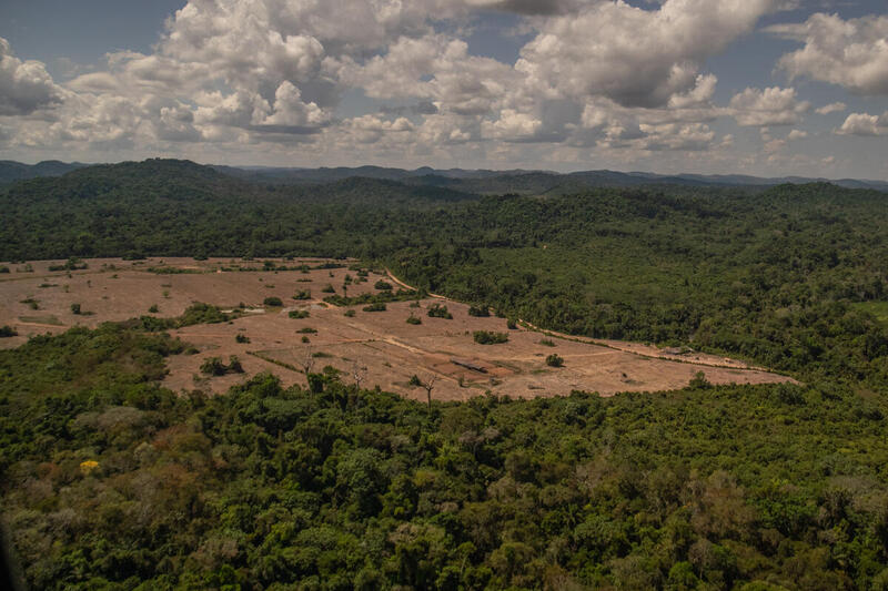 2020年7月亞馬遜森林毀林及火災監測Maranhense案例。Maranhense是巴西帕拉州其中一個大型的牧牛場主，在他名下的環境破壞罰款達700萬歐元（約6,400萬港元）。© Christian Braga / Greenpeace