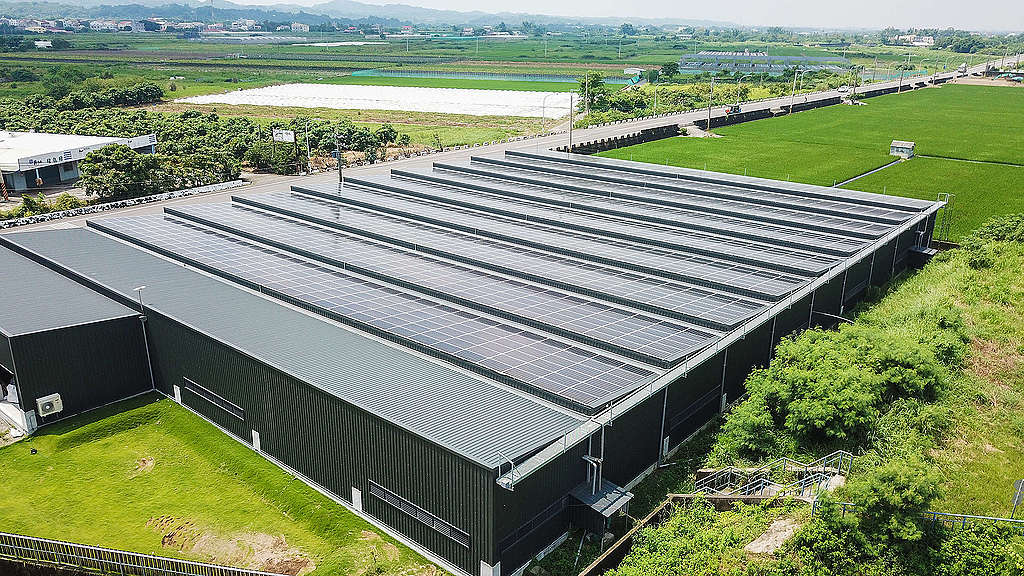 台南一個養殖場在屋頂鋪滿太陽能板，毋須犧牲用地和環境，也能發展可再生能源。 © Greenpeace / Huang Jhih Yao