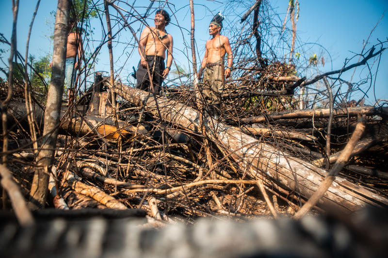 2019年亞馬遜森林大火時，Apurina原住民族檢視因為非法林火，他們在亞馬遜州（Amazonas）共失去了600公頃本在受保護地區的土地。© David Tesinsky / Greenpeace
