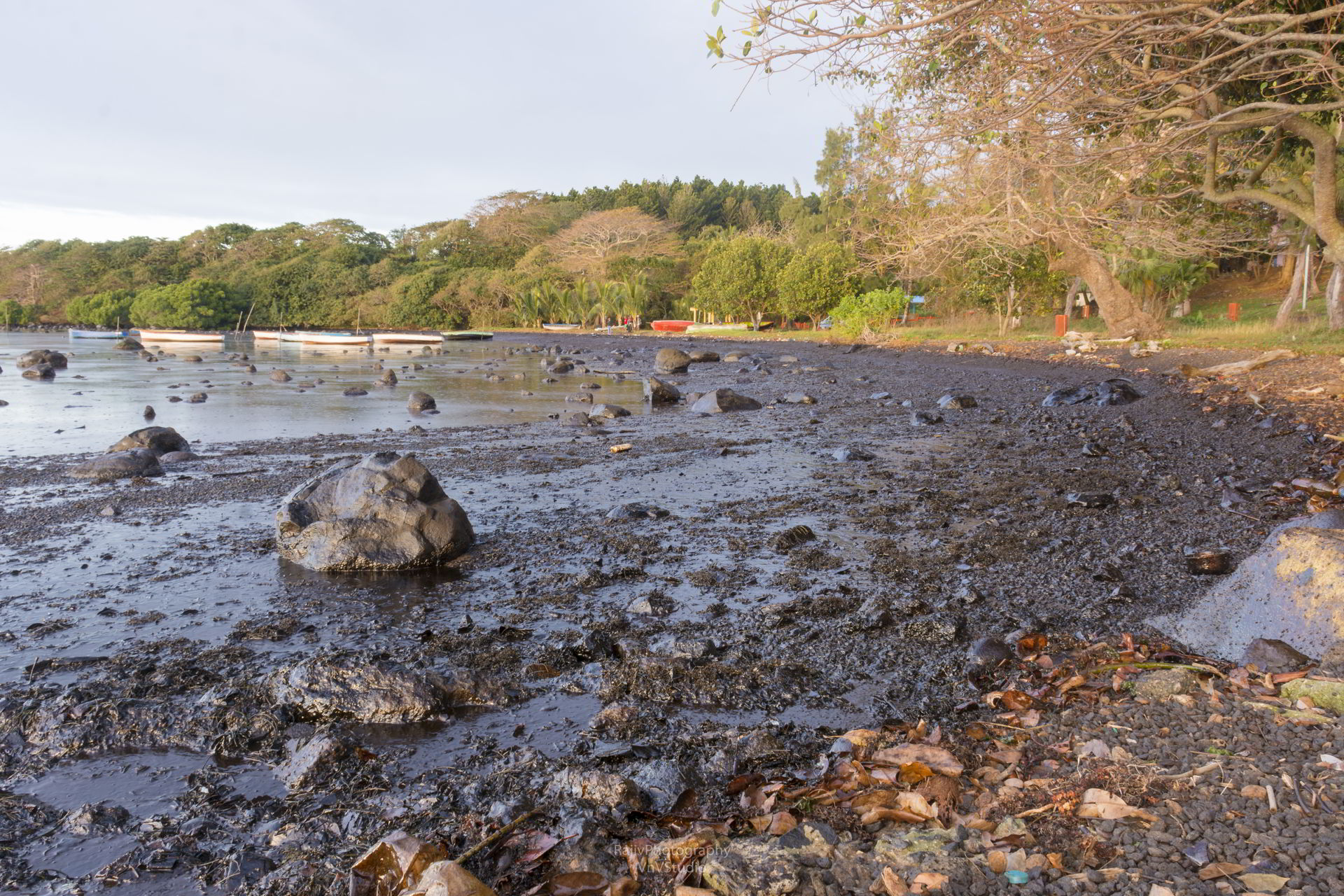 鄰近海岸猶如蓋上一層油污「黏膜」,嚴重影響當地民眾的生活與生計。© Rajiv Groochurn / Greenpeace