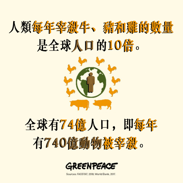 人類每年宰殺牛、豬和雞的數量是全球人口的十倍。全球有74億人口，即每年有740億動物被宰殺。很多人實行多菜少肉，或全面食素，除了是實踐環保的考慮，也同時抱持保護動物權益的心態。© Greenpeace