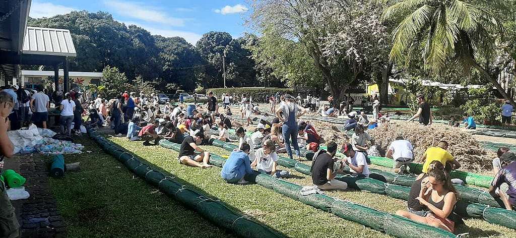 當地居民動員以甘蔗葉、帳篷布、魚絲等物資,製作工具阻隔油污。 © Greenpeace