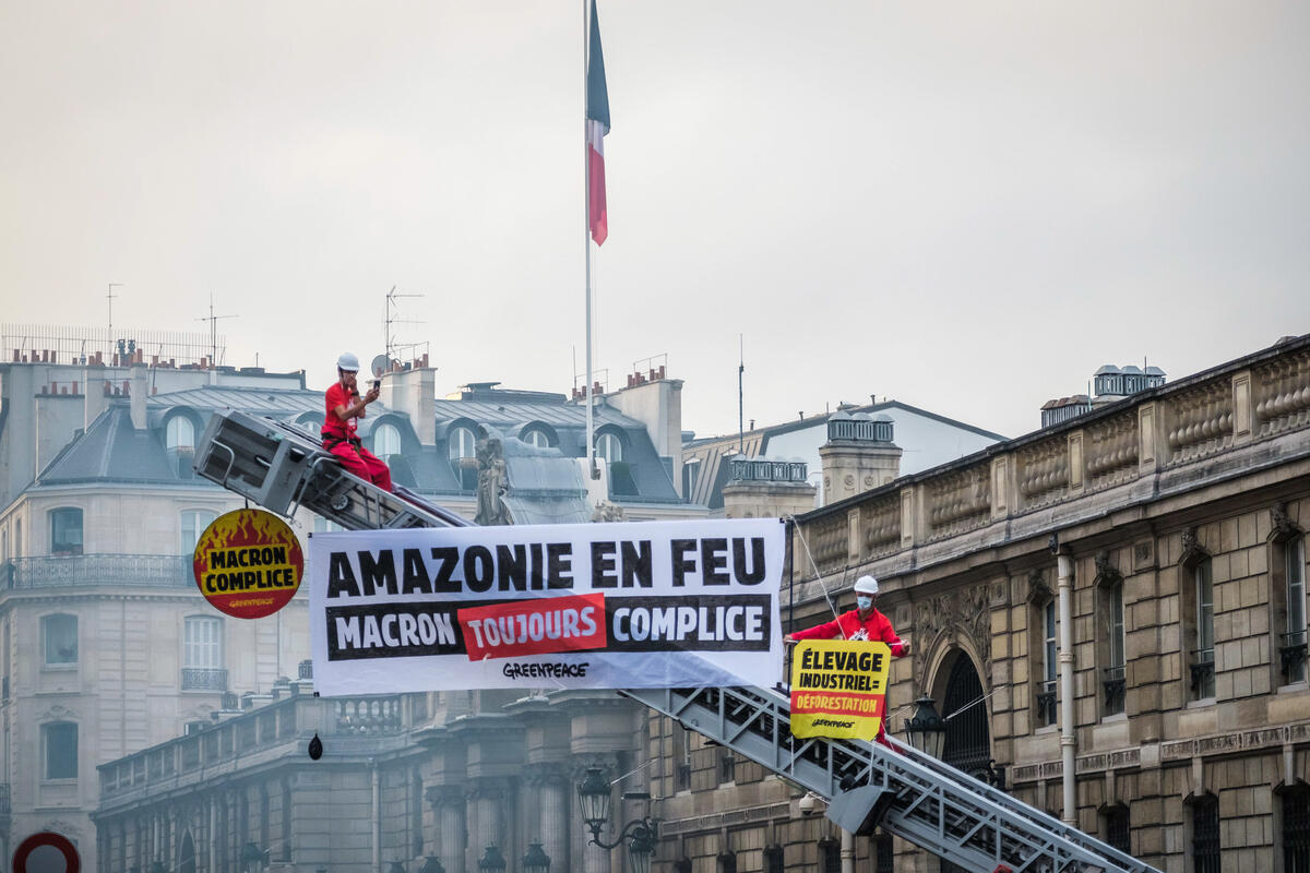 法國巴黎：行動者以行動凝聚公眾討論，指出法國作為進口導致毀林產品的歐盟大國，應採取更積極措施推動巴西的保護森林工作，負上應有的社會責任。© Simon Lambert / Greenpeace