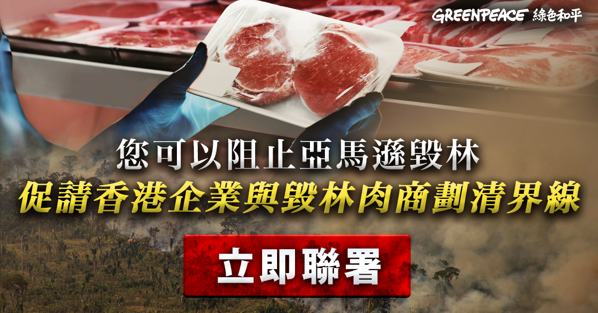 香港：綠色和平追查發現涉及非法毀林的巴西肉商，均以香港為其中一個主要的牛肉出口市場，遂於今月發起聯署，要求零售企業查明並公開所售肉品來源，確保消費者在店鋪購買的肉品，不涉及亞馬遜毀林。© Greenpeace