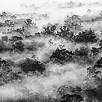 全球生物多樣性不達標，我們如何走下去？