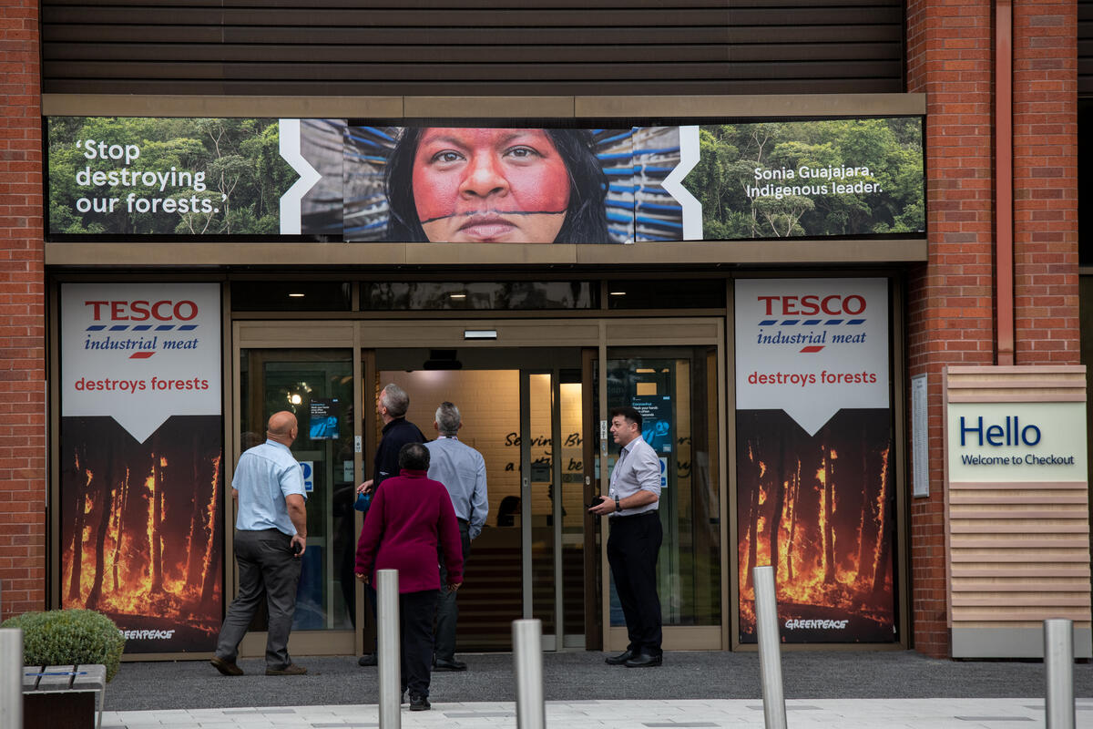 英國赫特福德郡：行動者於連鎖超市商Tesco總部大樓，為其出入口貼上新「裝飾」，要求企業盡社會責任，淘汰毀林肉品。© Chris J Ratcliffe / Greenpeace