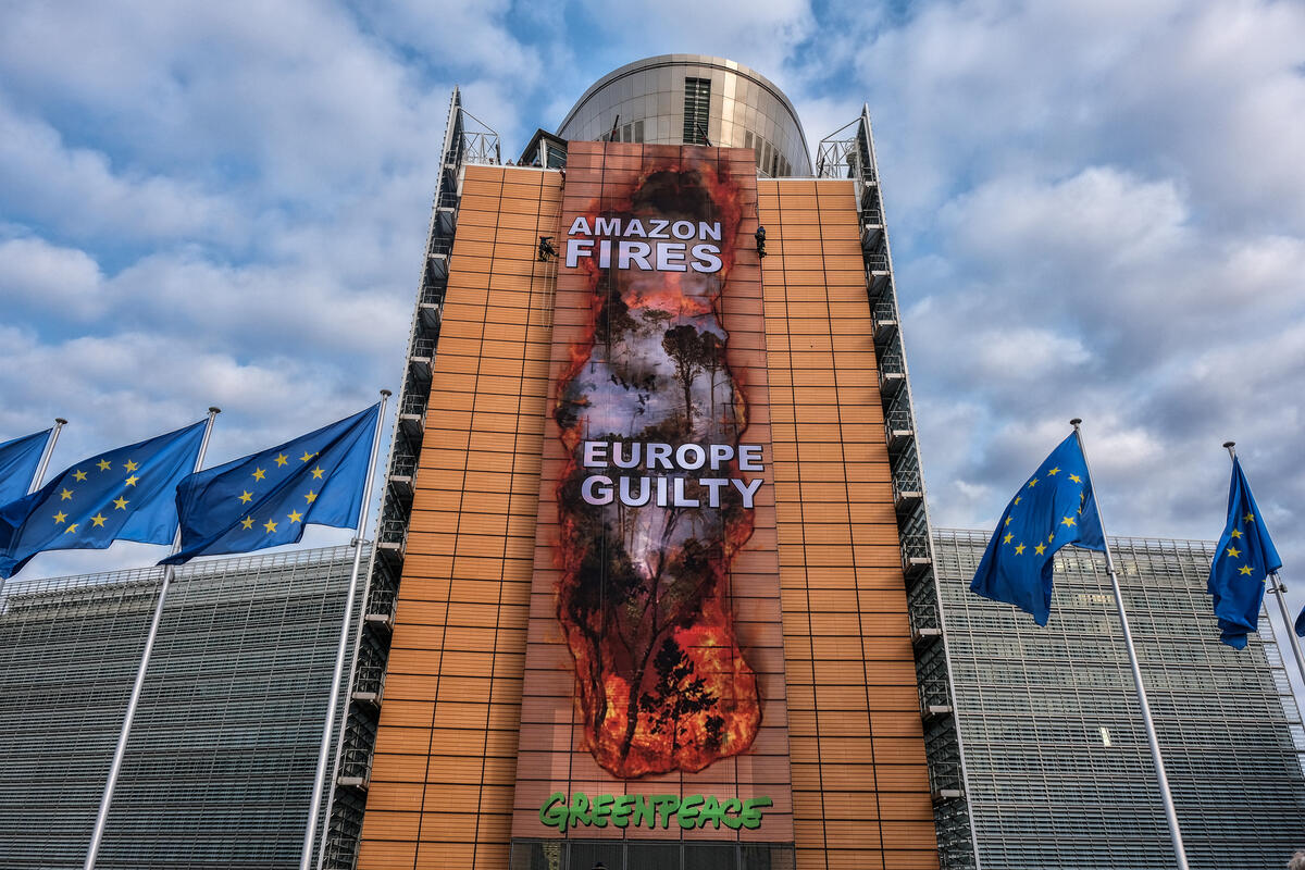 比利時布魯塞爾：行動者攀上歐盟委員會總部，掛起巨大橫額，宣告「亞馬遜森林大火，歐洲有罪」，與超過100個環保組織齊聲要求歐盟把毀林商品禁絕於市場，還消費者一個清白，避免不知情之下成為在亞馬遜點火的幫兇。© Tim Dirven / Greenpeace