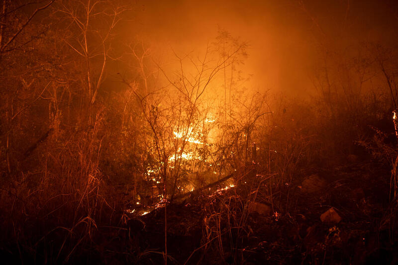 8月18日亞馬遜森林大火記錄：巴西Novo Progresso城區BR-163公路一帶。© Lucas Landau / Greenpeace