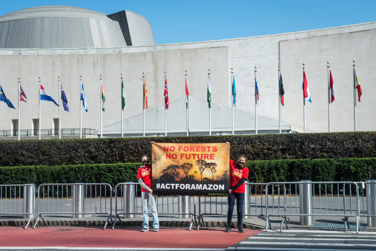 美國紐約：行動者於聯合國總部外，拉起「沒有森林，沒有未來」的橫額，劍指巴西總統博索納羅於聯合國大會上所發表的反森林保育言論。© Tracie Williams / Greenpeace