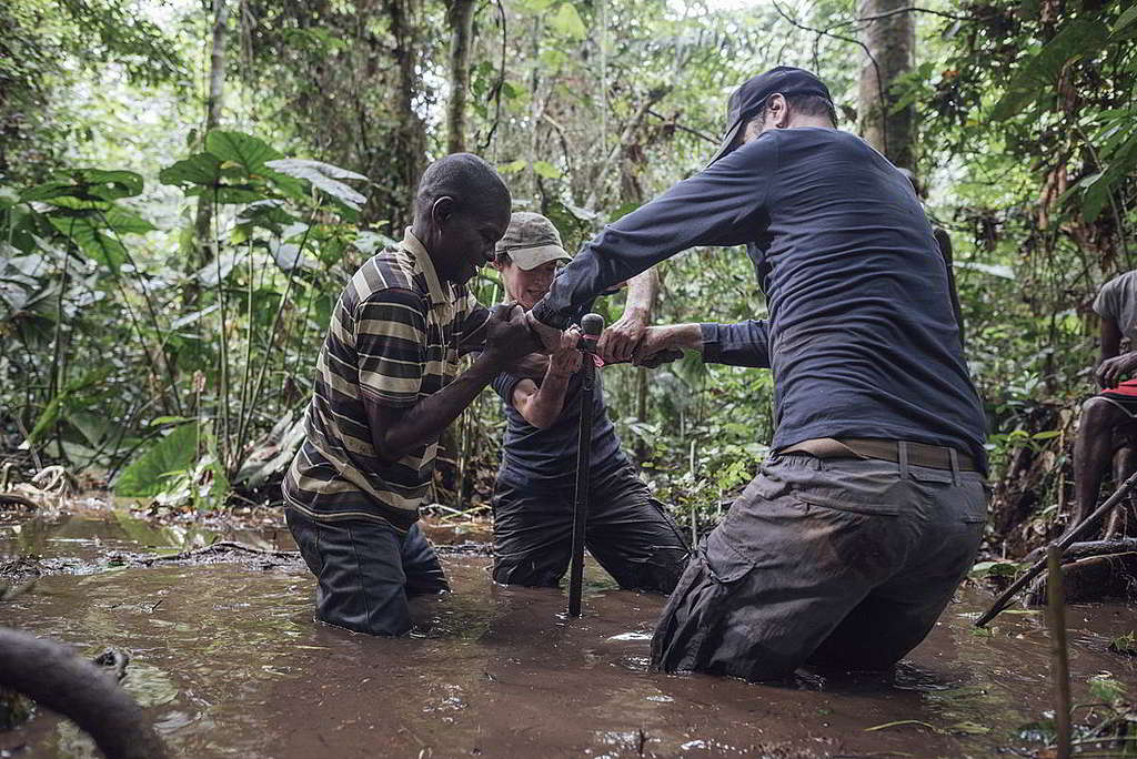2017年，綠色和平非洲辦公室團隊、英國列斯大學科學家聯同當地民眾，於剛果盆地森林量度泥炭地深度，從而計算碳儲庫的巨大保育價值。 © Kevin McElvaney / Greenpeace