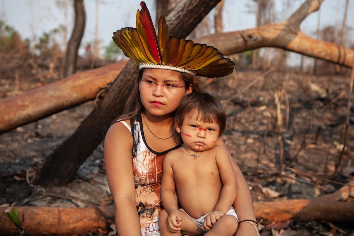 影片賞析 原住民與他們的智慧 特輯 送給自然的大地頌 Greenpeace 綠色和平 香港