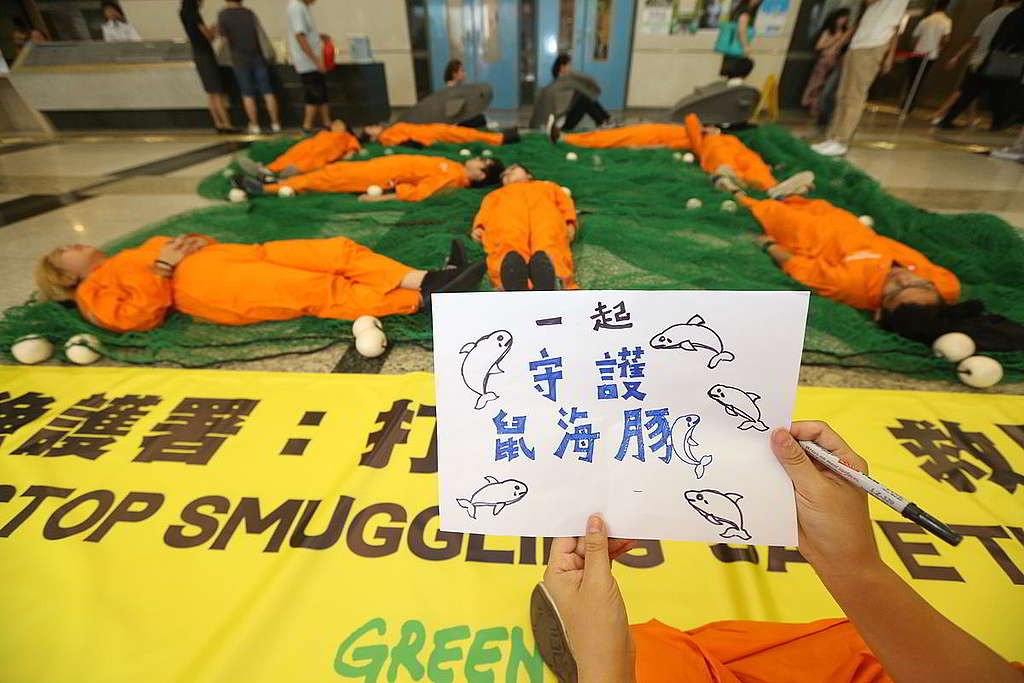 綠色和平2015年8月在香港「保護稀有動植物諮詢委員會」例會外請願；當時加灣鼠海豚還剩下57條，如今只餘三分之一甚至更少。 © Clement Tang Wai Kin / Greenpeace