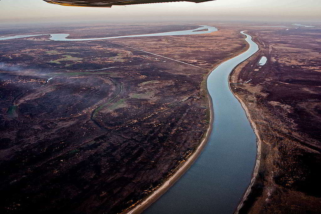 巴拉那三角洲（Paraná Delta）單在今年就爆發超過32,000宗大火；綠色和平調查員從上空俯瞰，發現河道兩旁的林地皆成灰燼。 © Eduardo Bodiño / Greenpeace