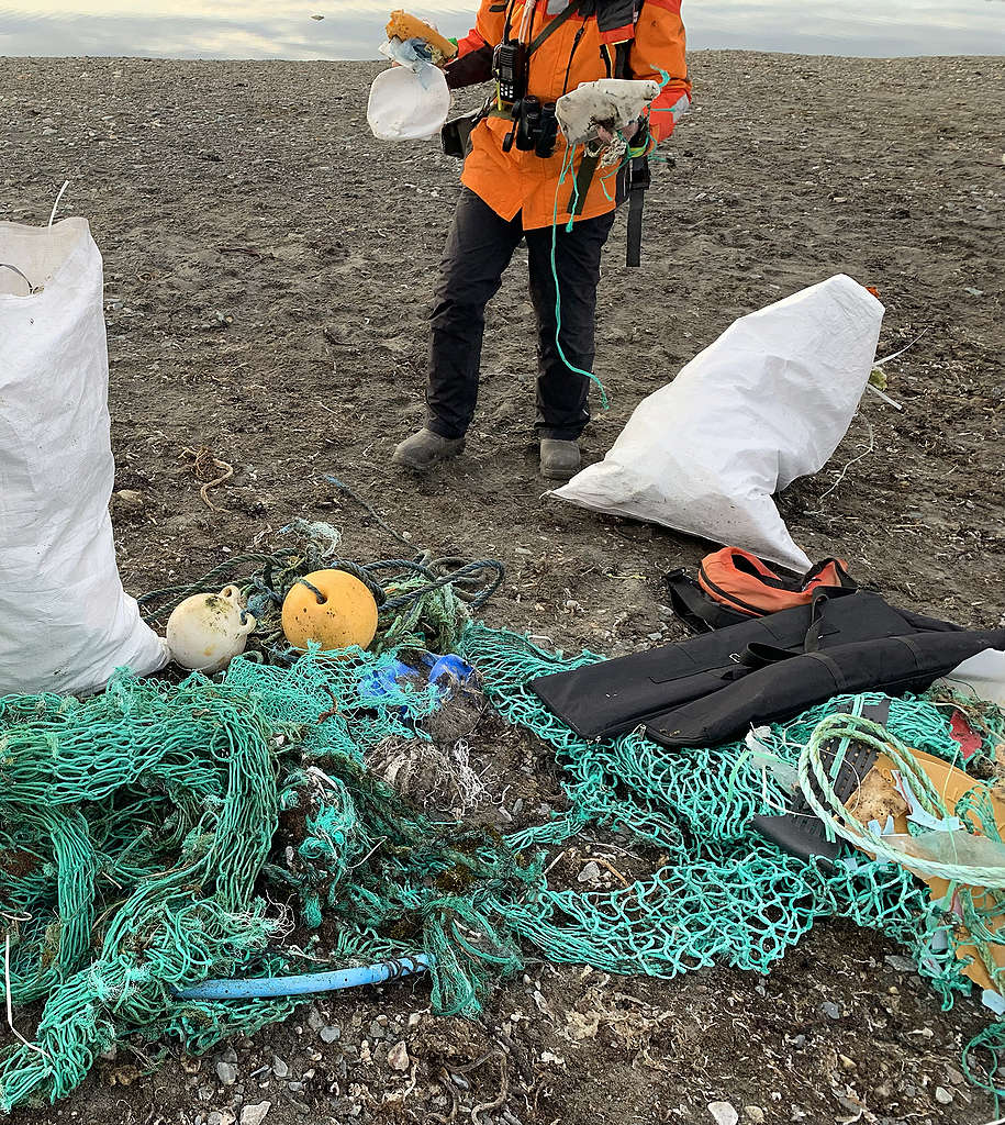 雖然獵殺行為已經受到規管，北極熊和極地生物依然面對嚴重的人為侵害。我們的團隊正在清理北極斯瓦爾巴群島的漁業垃圾，當地動物有機會誤吞這些垃圾。© Eric Wong / Greenpeace