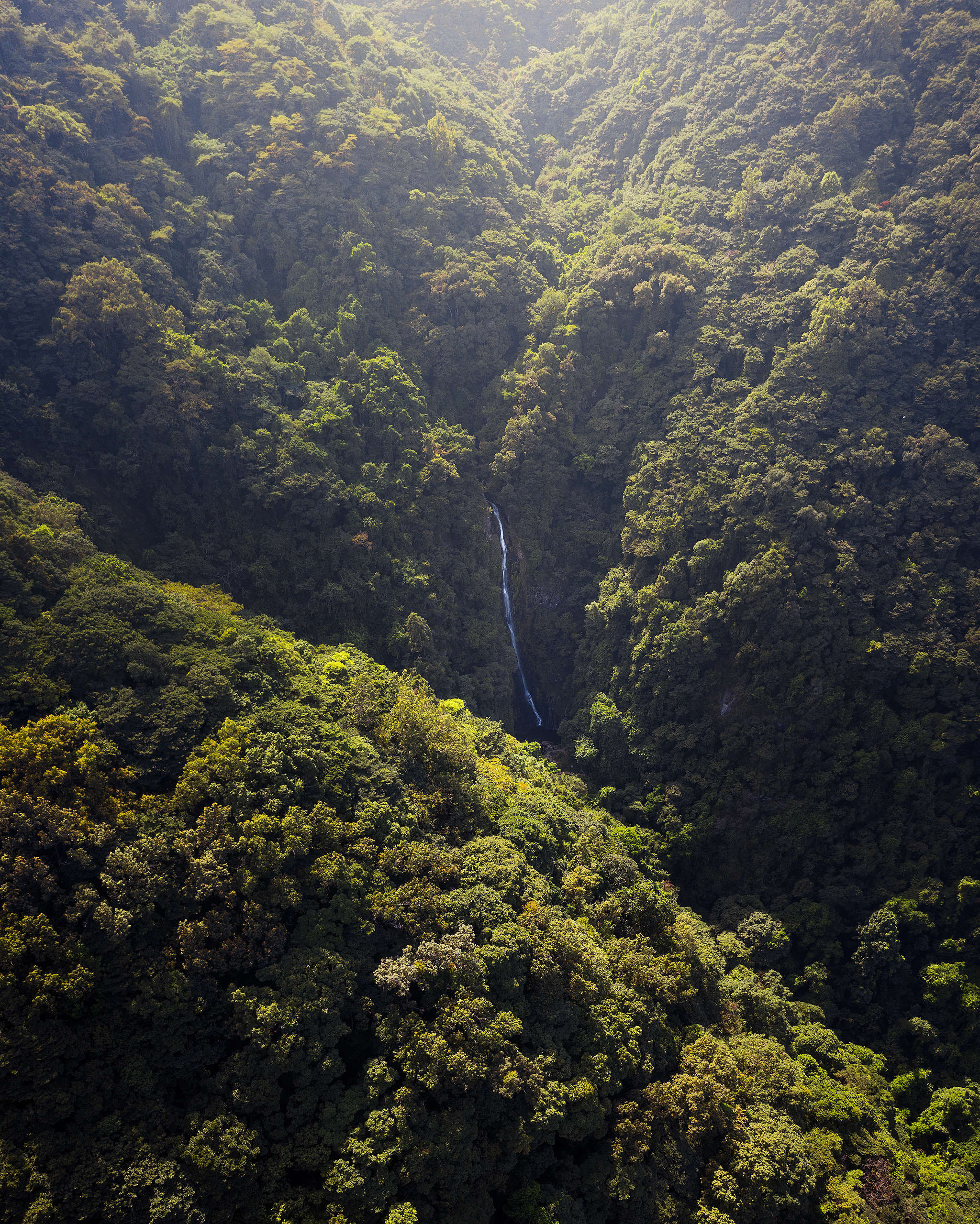 在叢林間的「馬尿寨主瀑」。© Kelvin Yuen