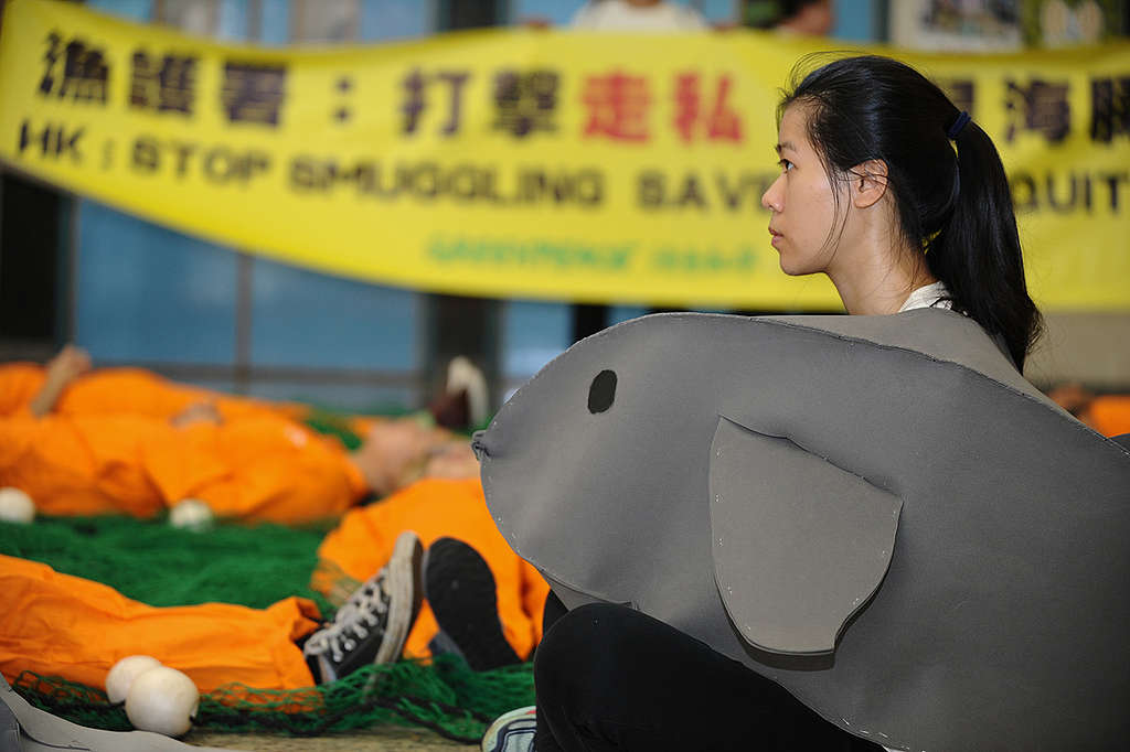 綠色和平香港辦公室促請當局加強打擊走私石首魚交易,拯救墨西哥極瀕危加灣鼠海豚。 © Clement Tang Wai Kin / Greenpeace