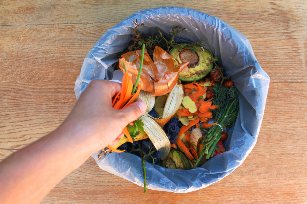 現時香港環保署於部分屋苑設有廚餘回收桶，廚餘在放進回收桶前，也須要你我先行處理。© Shutterstock
