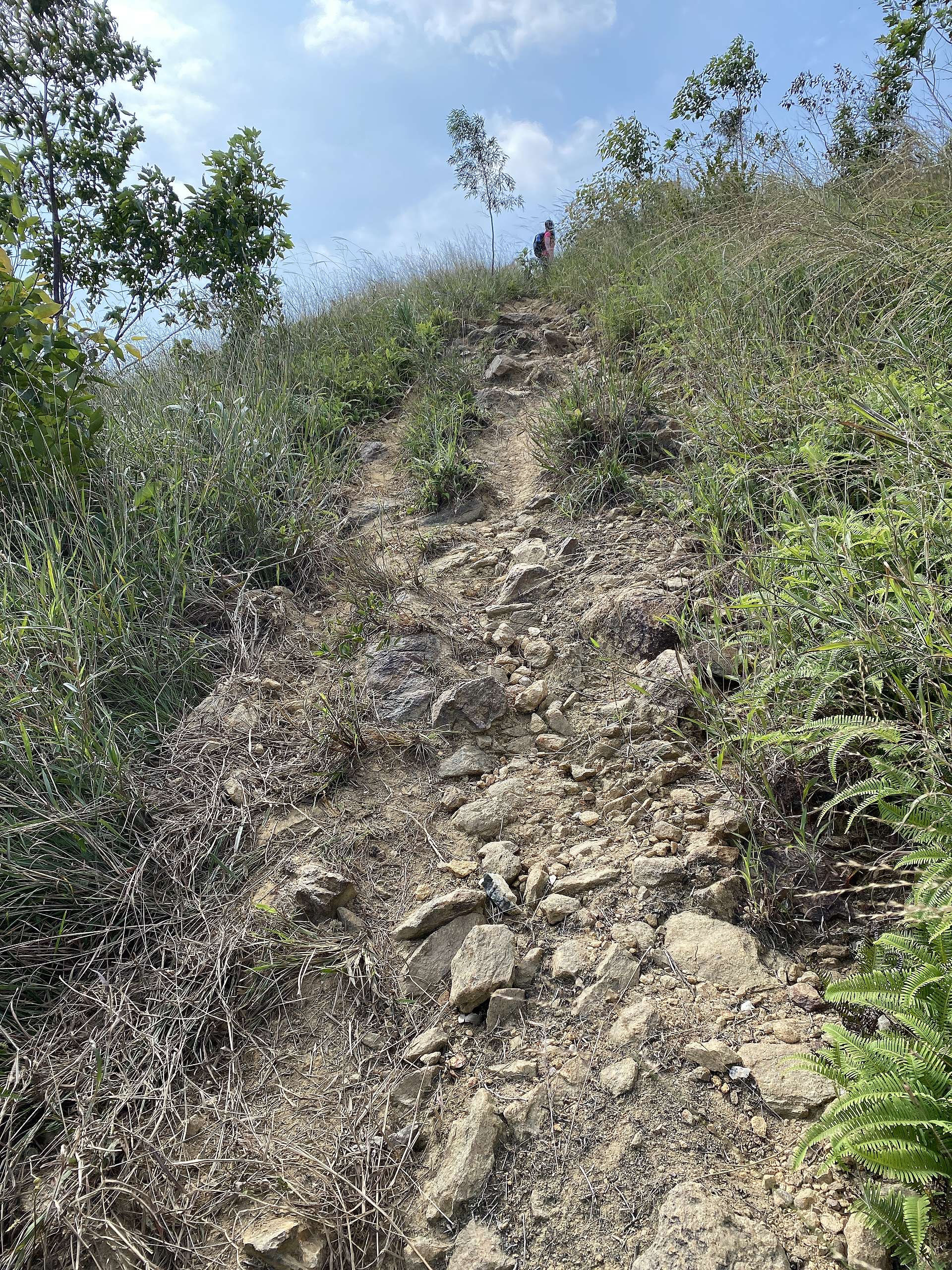 從這邊登山幾乎是一直上坡至山頂,其中一部份斜度約30度,注意如雨後路可能會變成濕滑的泥濘。© 香港山女