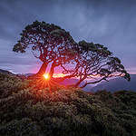 合歡北峰日出。（1s F16 ISO100）© Kelvin Yuen