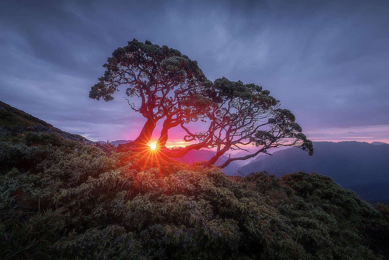 合歡北峰日出。（1s F16 ISO100）© Kelvin Yuen
