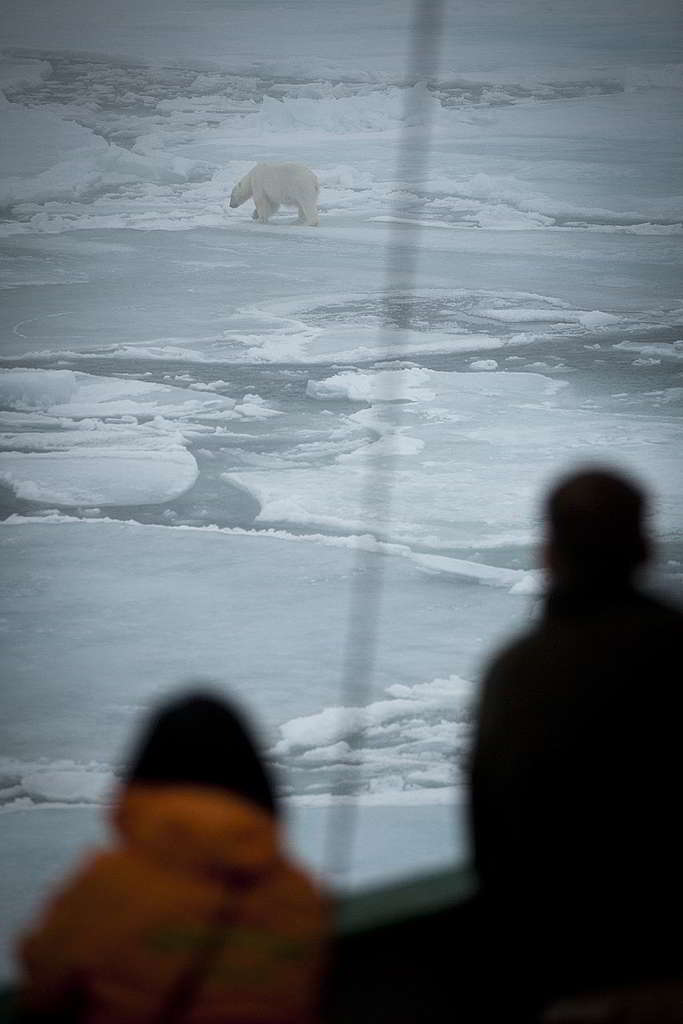 面對北極熊來到不遠處，船上守衛一方面持槍戒備，一方面慨嘆氣候變化令牠們難以覓食，慶幸最終雙方平安無恙。 © Eric Wong / Greenpeace