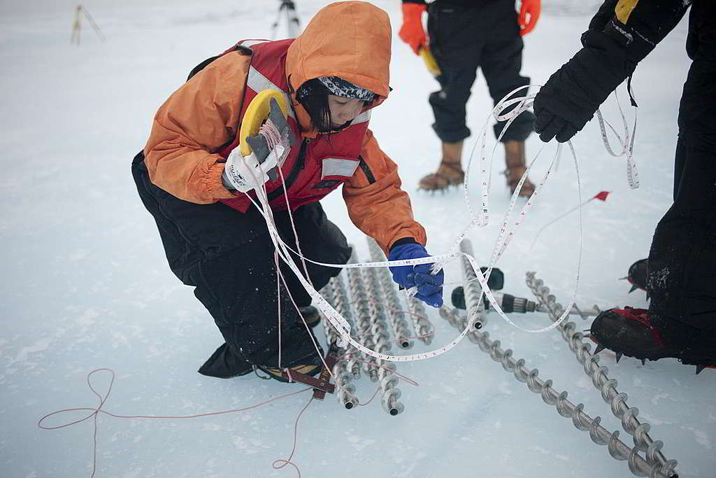 Gloria當年在北極科研任務負責以軟尺量度海冰厚度。 © Greenpeace