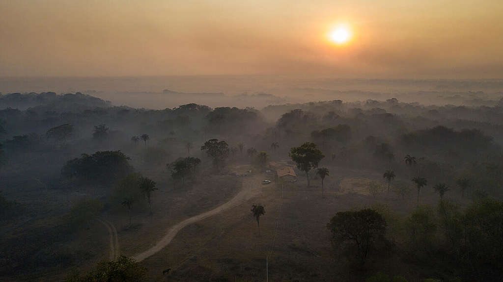 無論實際上或處境方面，大火都將全球最大内陸濕地潘塔納爾濕地（Pantanal）置入迷霧之中。© Leandro Cagiano / Greenpeace