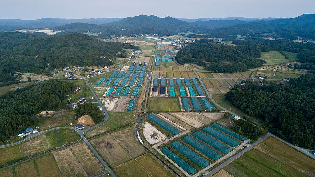 高空俯瞰一個個藍色方塊,其實是當局難以處理、唯有暫存於荒廢農田的核廢料。 © Christian Åslund / Greenpeace