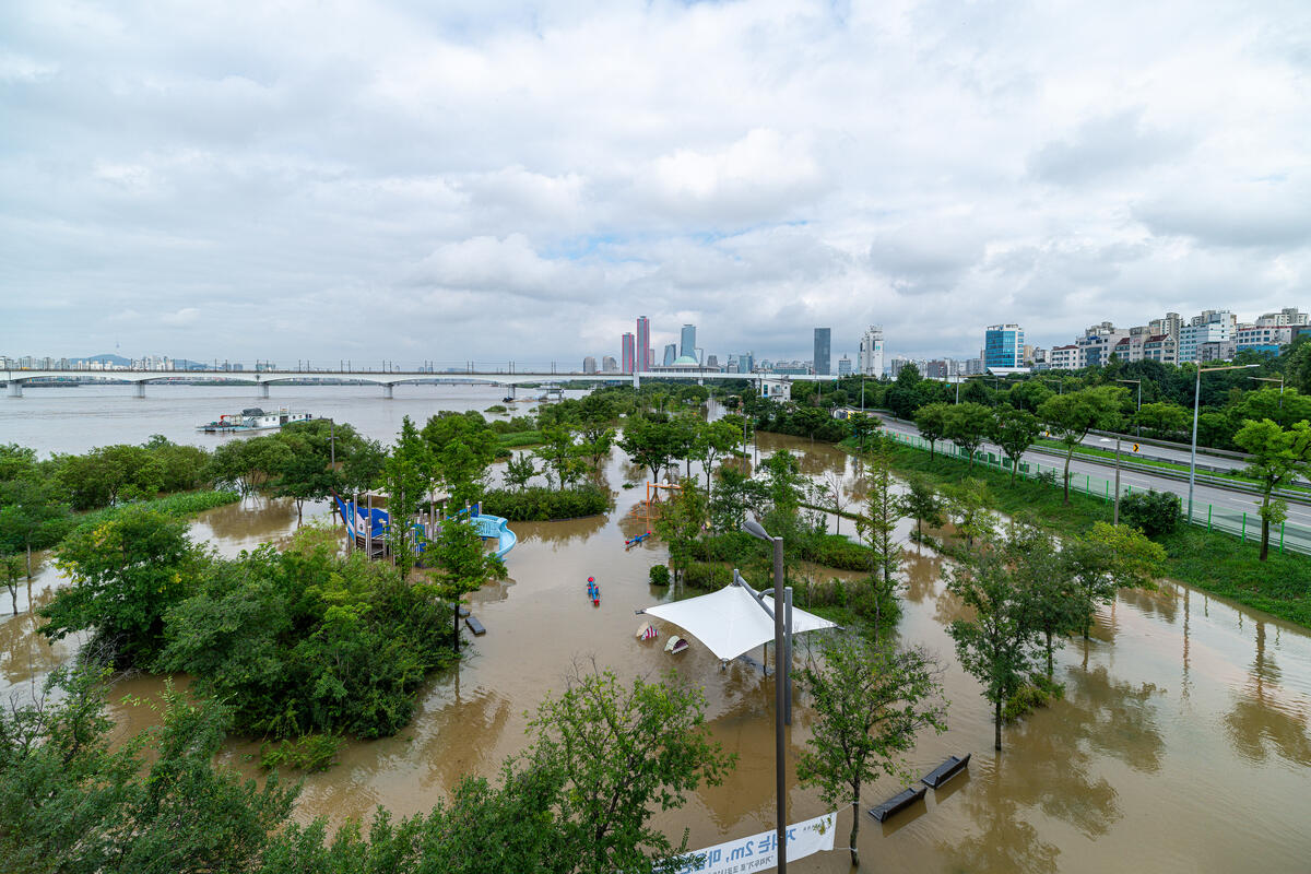 氣候危機令極端天氣更見頻繁，2020年夏季韓國持續下了超過46天的大暴雨，地標漢江旁的公園和道路都被洪水淹沒。© Sungwoo Lee / Greenpeace