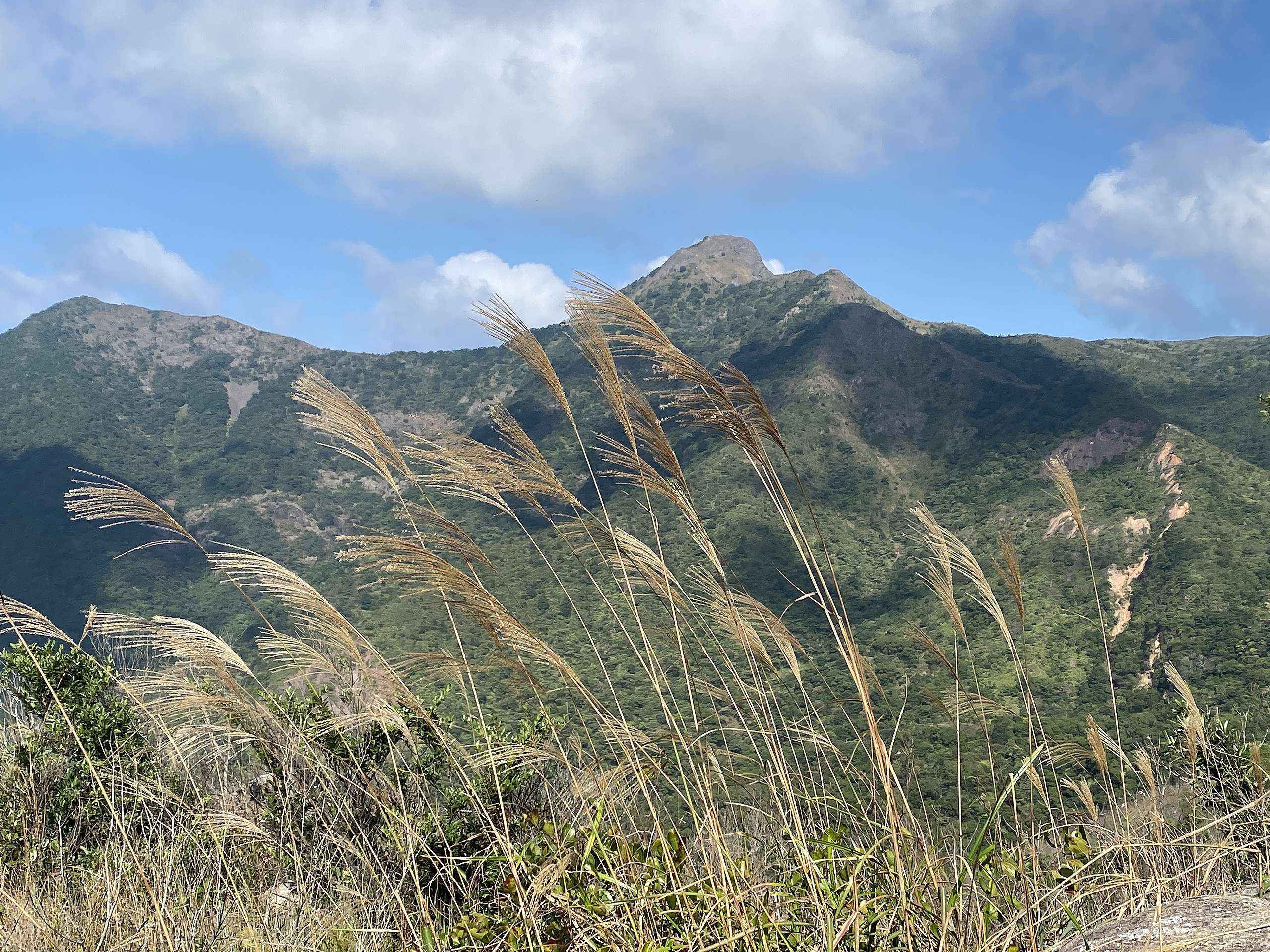 於鹿巢山山頂能眺望馬鞍山，在晴朗的一天景色更美。© 香港山女