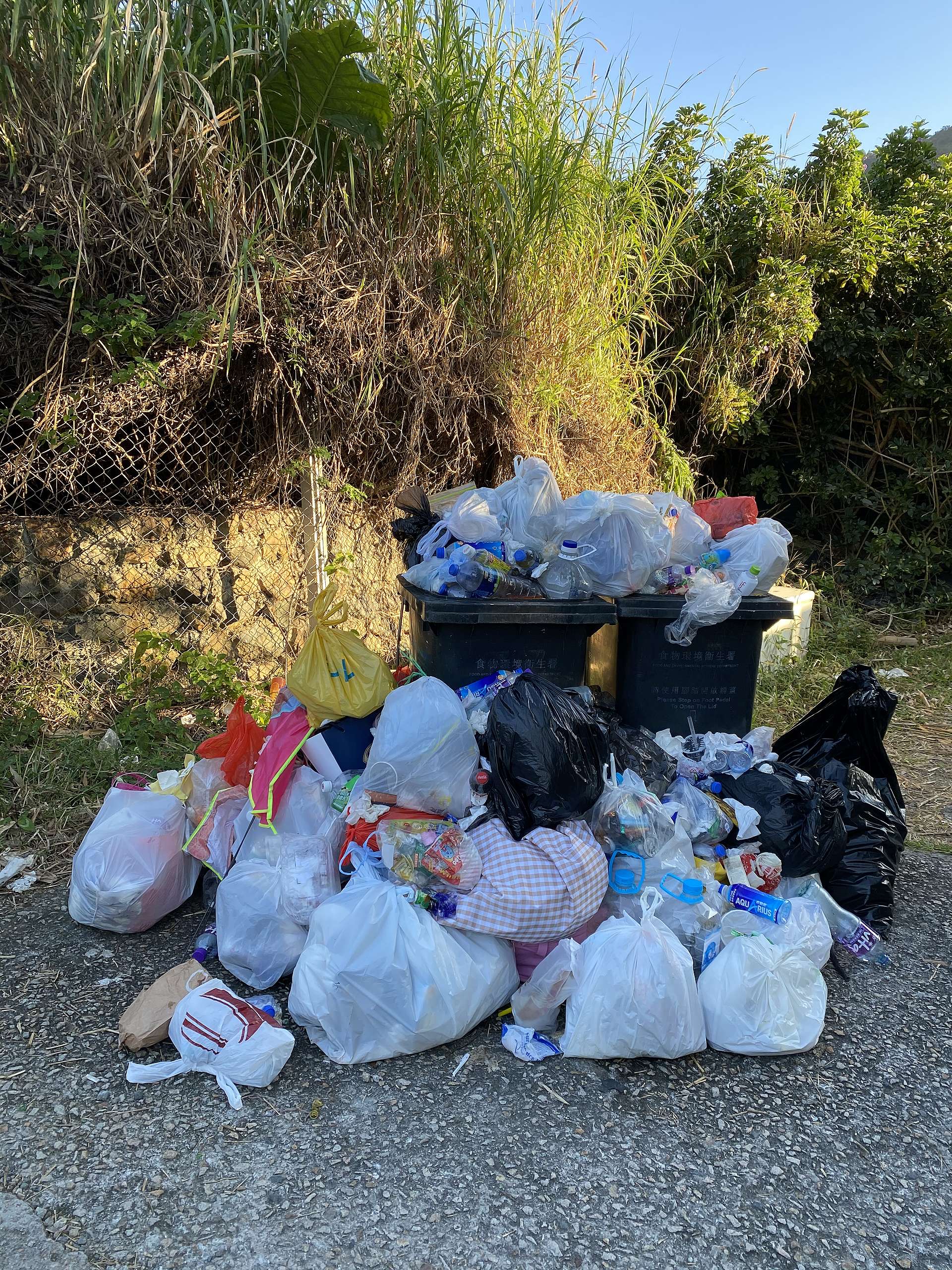  路上見到近山腳的垃圾桶其實滿了，但遊人卻還是把垃圾疊上去或放在旁邊，這樣不但增加清潔工的負擔，還有機會在清理前引來野生動物翻垃圾，影響牠們的飲食習性，因此千萬要自行把垃圾帶下山！© 香港山女