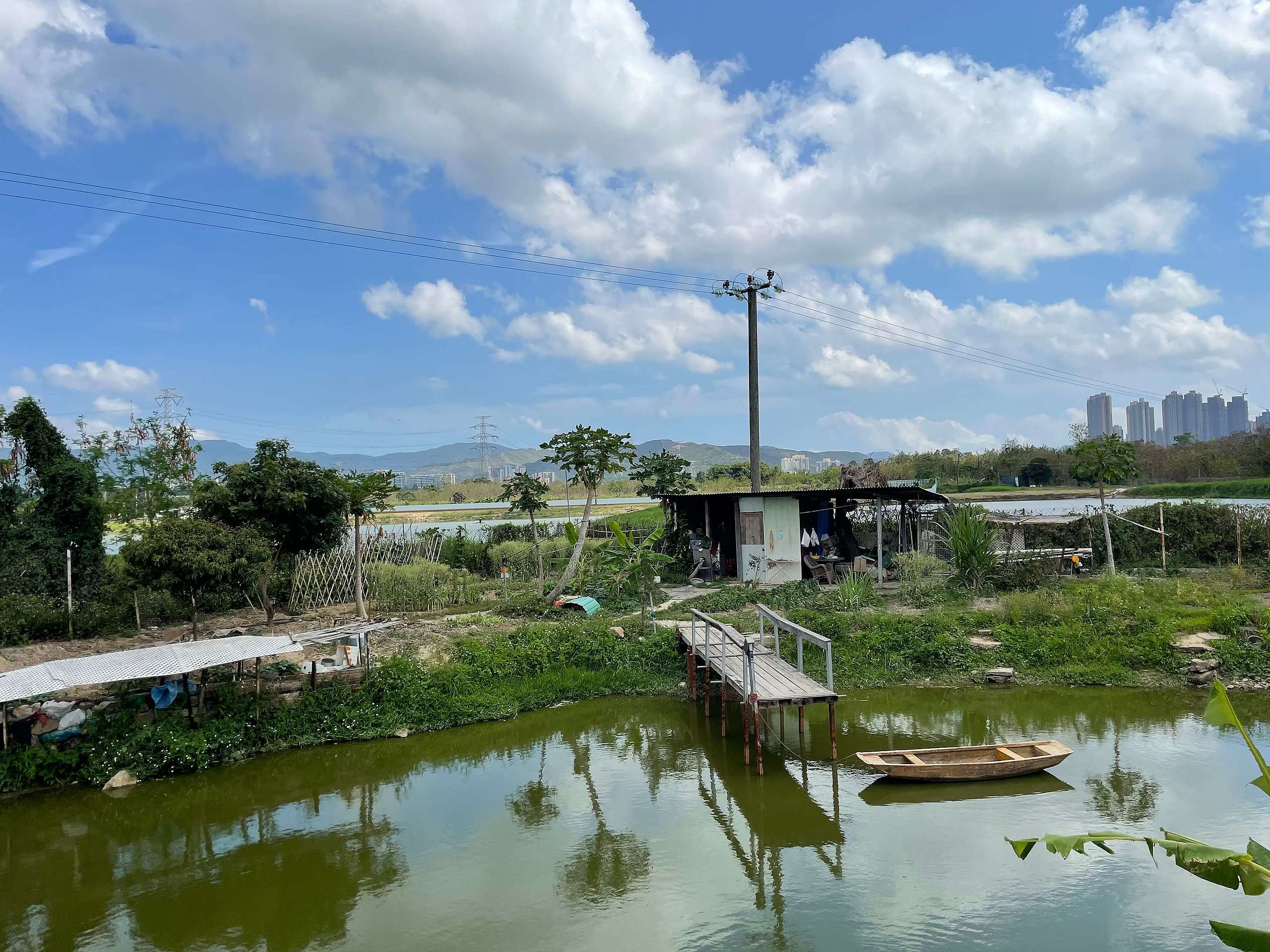 單車徑兩旁有不少農田、魚塘和濕地，是都市人較少接觸的田園風光。©ABCAT / Greenpeace