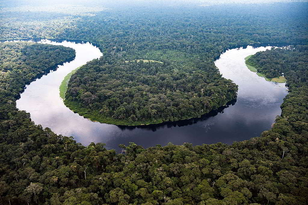 41：非洲剛果民主共和國擁有全球第二大雨林，表面波平如鏡，內裡暗藏亂流。2017年，綠色和平、英國列斯大學團隊及剛果森林科學家在該國中部盆地發現面積超過14萬平方公里的泥炭地（peatland），儲碳量高達300億噸，近日卻傳來消息憂喜參半：當地環境部長日前撤銷19年工業伐林暫止期，另邊廂Salonga國家公園保育有成，獲聯合國教科文組織剔出世界瀕危遺產名錄。 © Daniel Beltrá / Greenpeace
