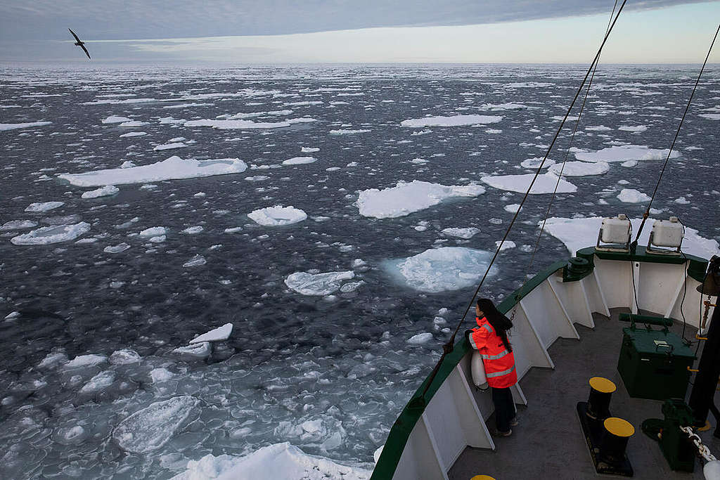 英國年輕氣候行動者Mya Rose-Craig去年隨極地曙光號到訪北極，並完成史上最北端氣候行動。 © Daniella Zalcman / Greenpeace
