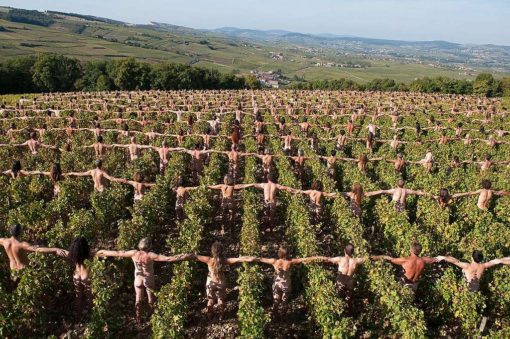 2009年法國勃艮第南部的一個葡萄莊園，700個自願行動者參與，由藝術家Spencer Tunick設計、綠色和平的人體藝術氣候行動，以警示全球暖化的危險。© Greenpeace / Pierre Gleizes