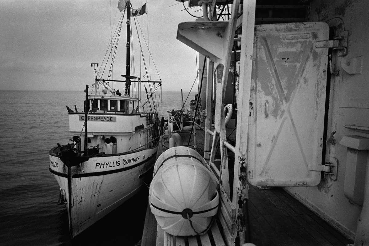 1971年9月15日綠色和平首航，先鋒成員駕駛Phyllis Cormack號從溫哥華出發往安奇卡島，抗議美國進行地下核試。 © Greenpeace / Robert Keziere