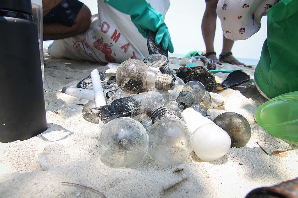 綠色和平義工在印尼千島群島的博科島保護區清理期間，收集到的廢舊燈泡。 © Dhemas Reviyanto / Greenpeace